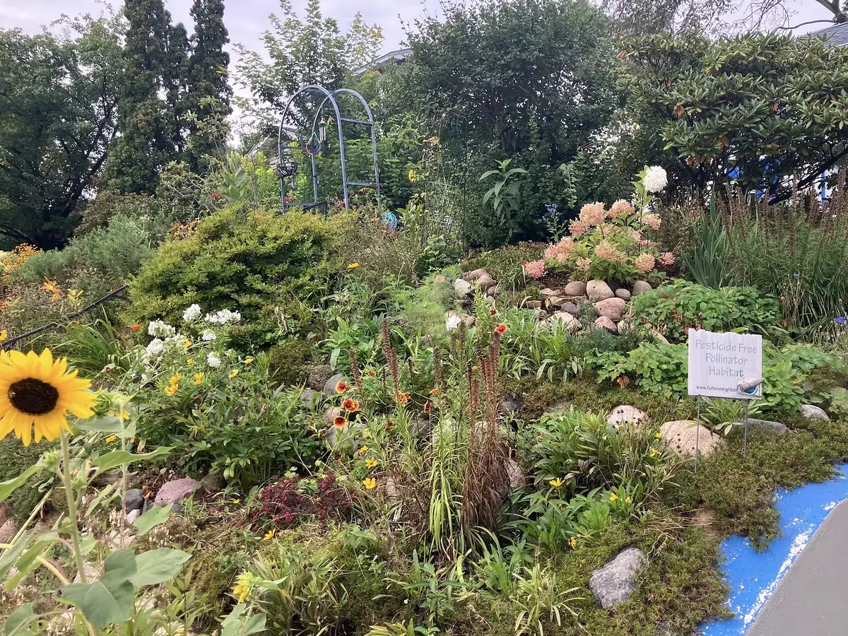 A biodiverse pollinator garden with sunflowers, native flowers, grasses, and a 'Pesticide Free Pollinator Habitat' sign